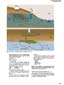 The dissolved oxygen (DO) and the biological oxygen demand (BOD) follow, for instance, typical curves...